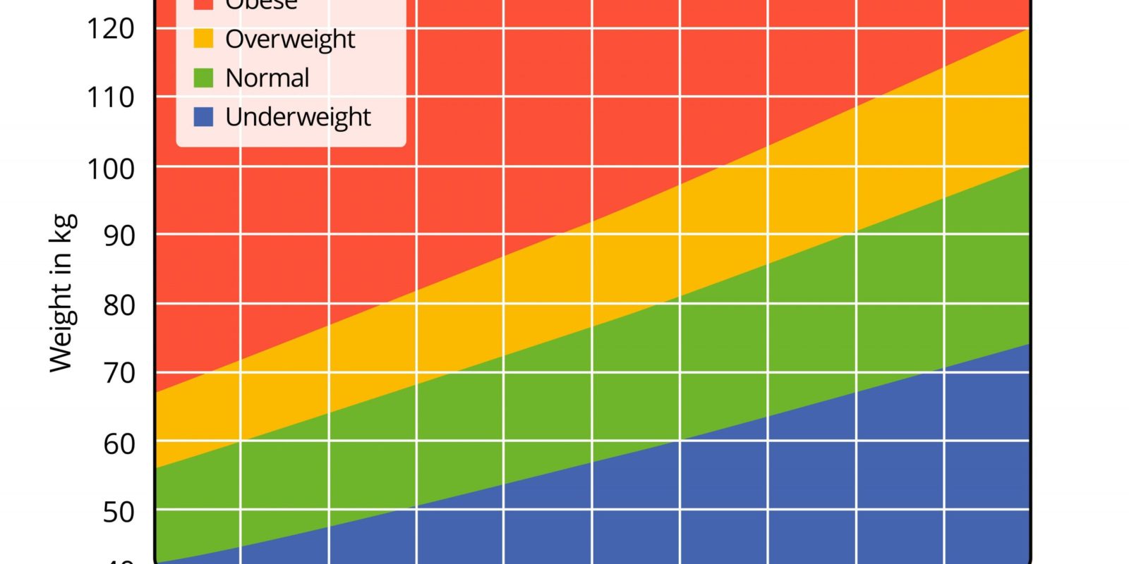 Understanding BMI and How to Manage Your Weight Goals | Digest Magzine